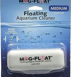 Mag-Float Float Glass