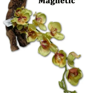 Magnaturals 16" Yellow Orchid