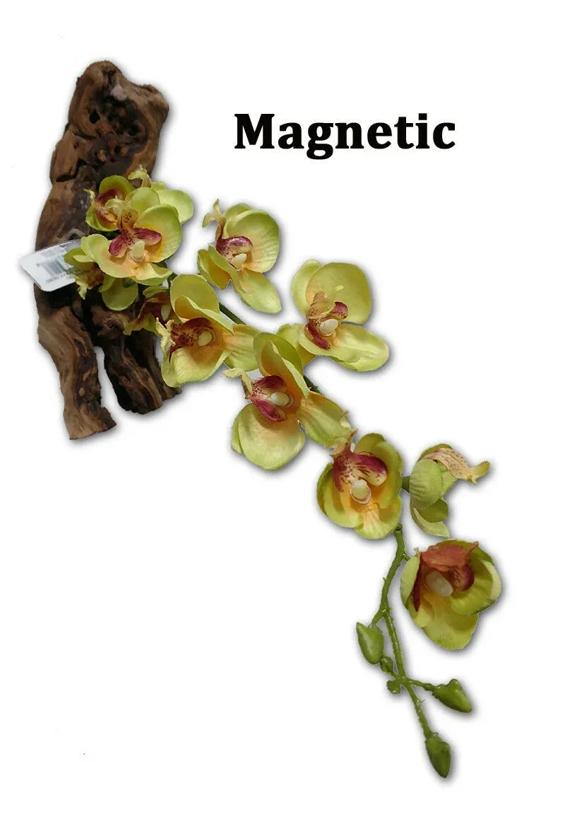 Magnaturals 16" Yellow Orchid