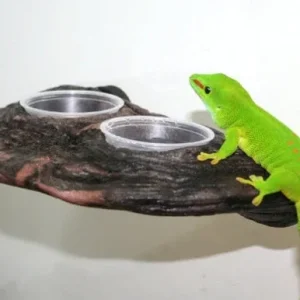 Magnaturals Gecko Ledge - Earth w/ two cups