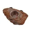 Magnaturals Gecko Ledge - Mojave w/ one cup