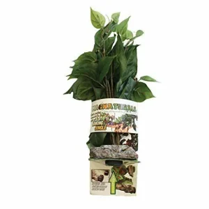 Magnaturals Lg Hanging Jungle
