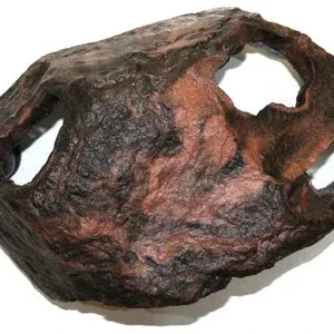 Magnaturals Lg Hideaway Earth