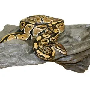 Magnaturals Lg X-tra Strong Rock Ledge Granite