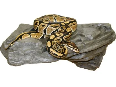 Magnaturals Lg X-tra Strong Rock Ledge Granite