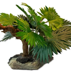 Magnaturals Mini Fan Palm w/Driftwood