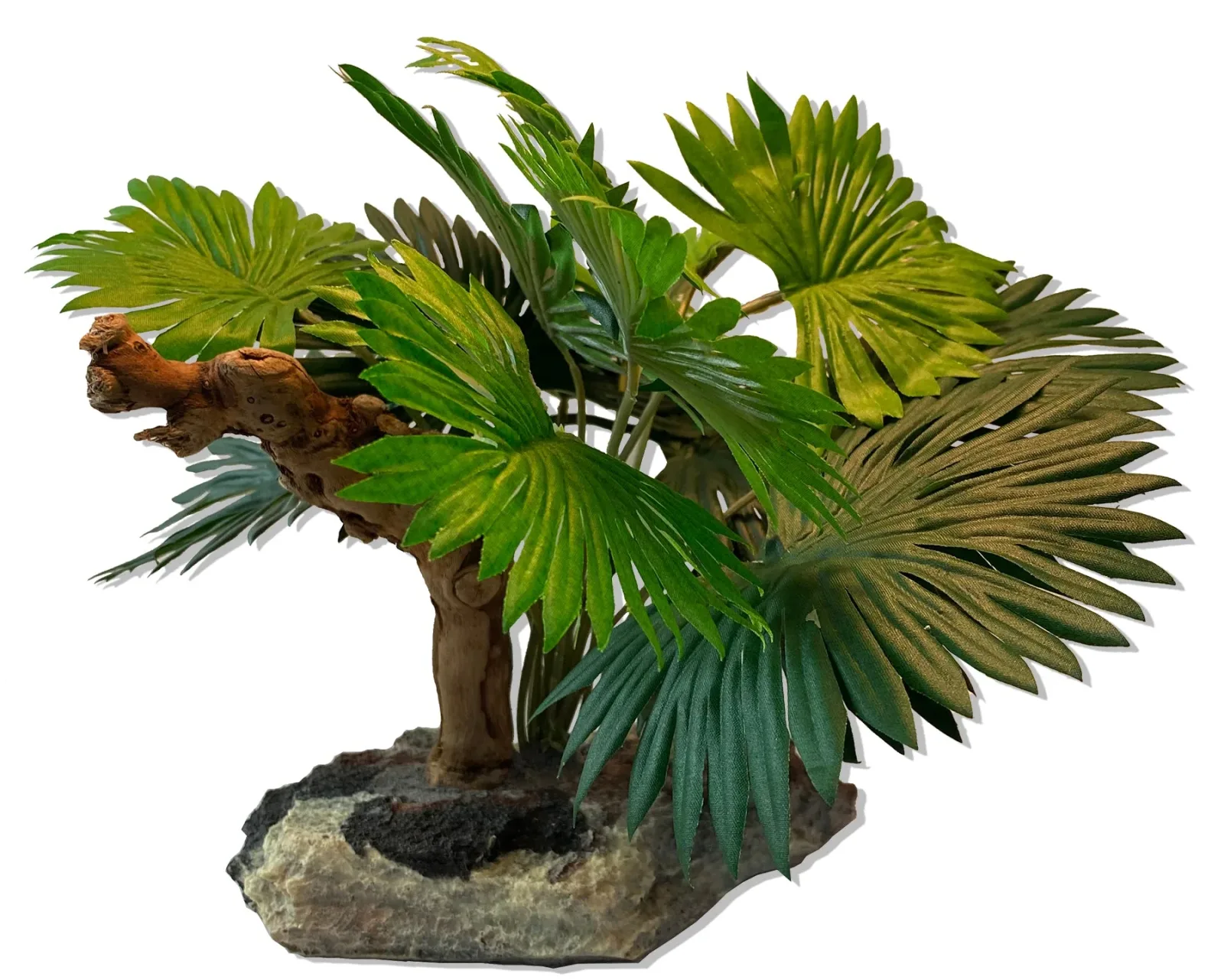 Magnaturals Mini Fan Palm w/Driftwood