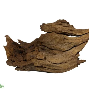 Malaysian Driftwood
