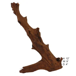 Malaysian Driftwood, Super WYSIWYG 12" x 9"