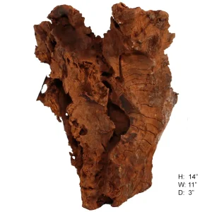 Malaysian Driftwood, Super WYSIWYG 14" x 11"