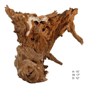 Malaysian Driftwood, Super WYSIWYG 15" x 17"