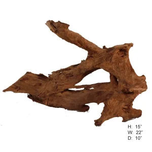 Malaysian Driftwood, Super WYSIWYG 15" x 22"