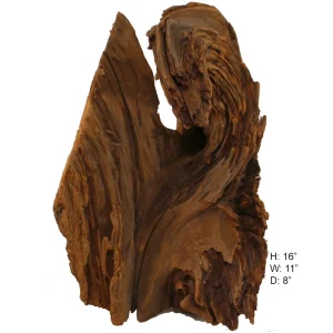 Malaysian Driftwood, Super WYSIWYG 16" x 11"