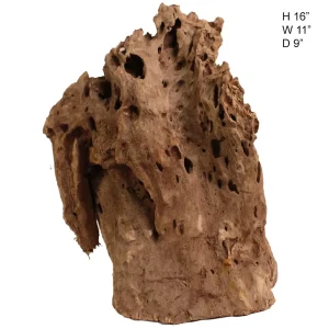 Malaysian Driftwood, Super WYSIWYG 16" x 11.5"