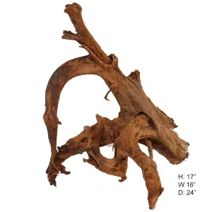 Malaysian Driftwood, Super WYSIWYG 17" x 16"