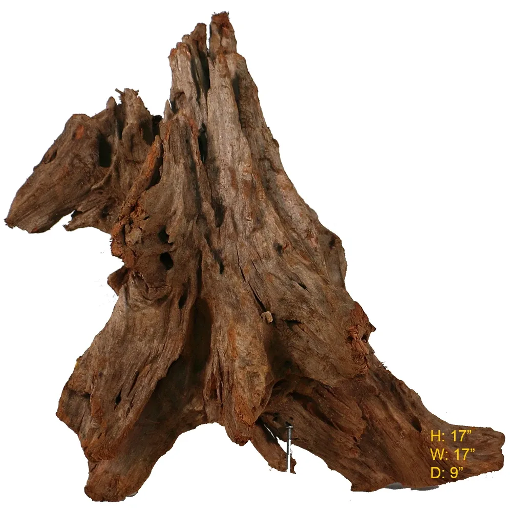 Malaysian Driftwood, Super WYSIWYG 17" x 17"
