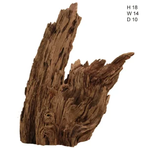 Malaysian Driftwood, Super WYSIWYG 18" x 14"