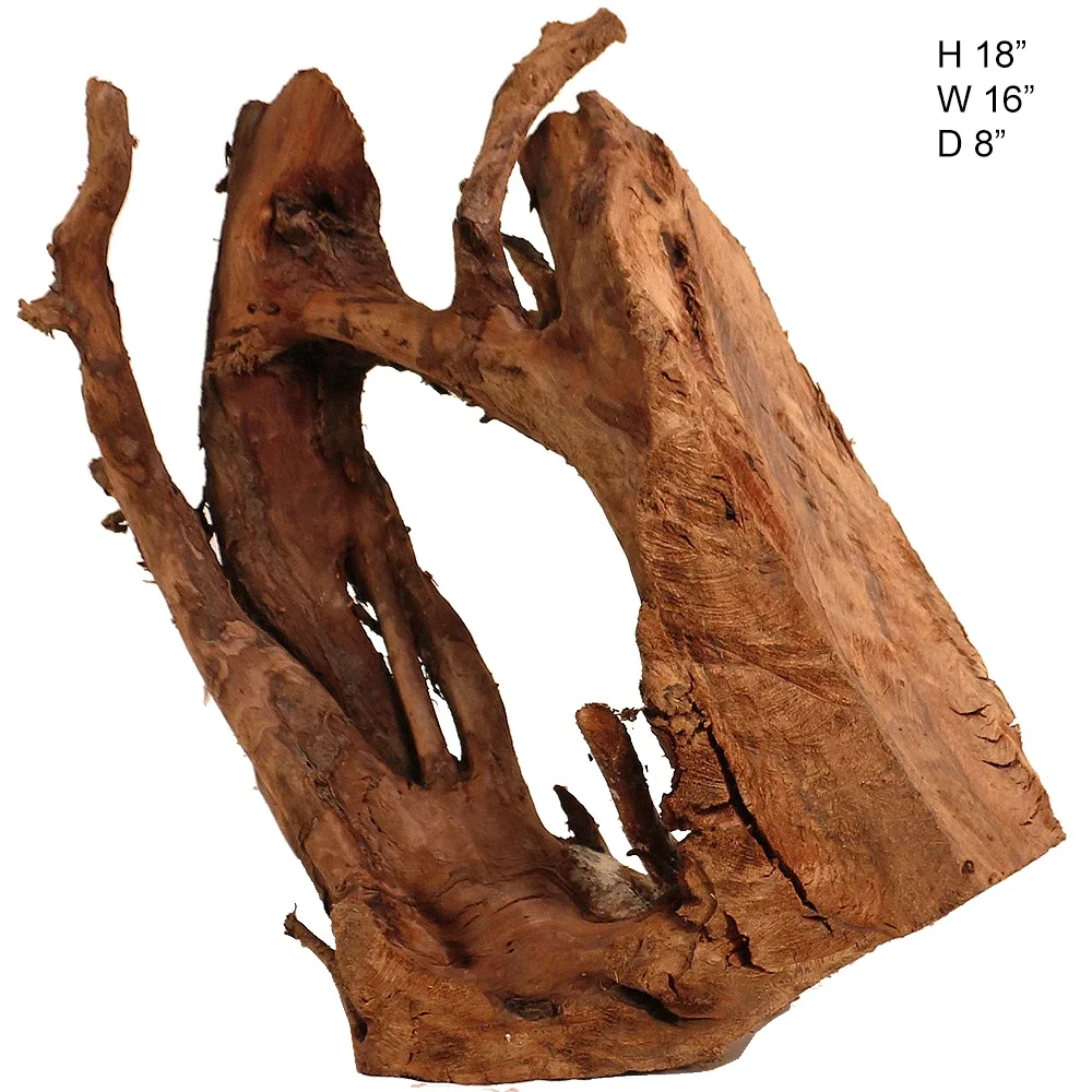 Malaysian Driftwood, Super WYSIWYG 18" x 16"