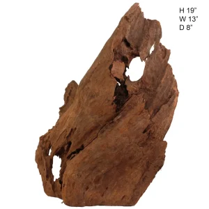 Malaysian Driftwood, Super WYSIWYG 19" x 13"