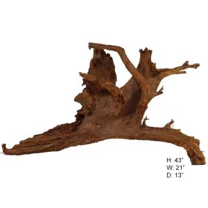 Malaysian Driftwood, Super WYSIWYG 20" x 33"