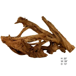 Malaysian Driftwood, Super WYSIWYG 20" x 39"