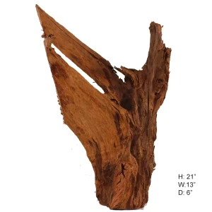 Malaysian Driftwood, Super WYSIWYG 21" x 13"