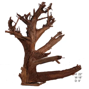 Malaysian Driftwood, Super WYSIWYG 22" x 18"