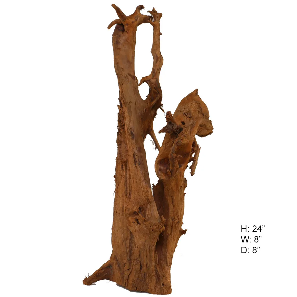 Malaysian Driftwood, Super WYSIWYG 24" x 8"