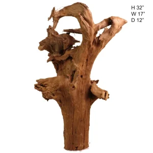 Malaysian Driftwood, Super WYSIWYG 32.5" x 17"