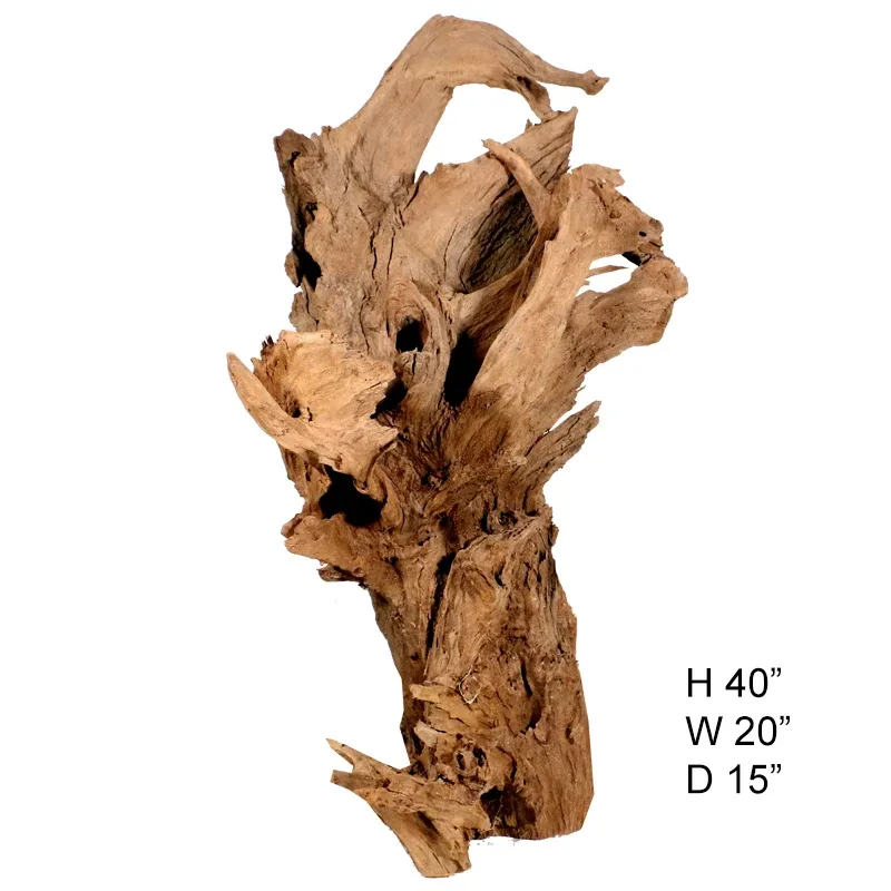 Malaysian Driftwood, Super WYSIWYG 40" x 20"