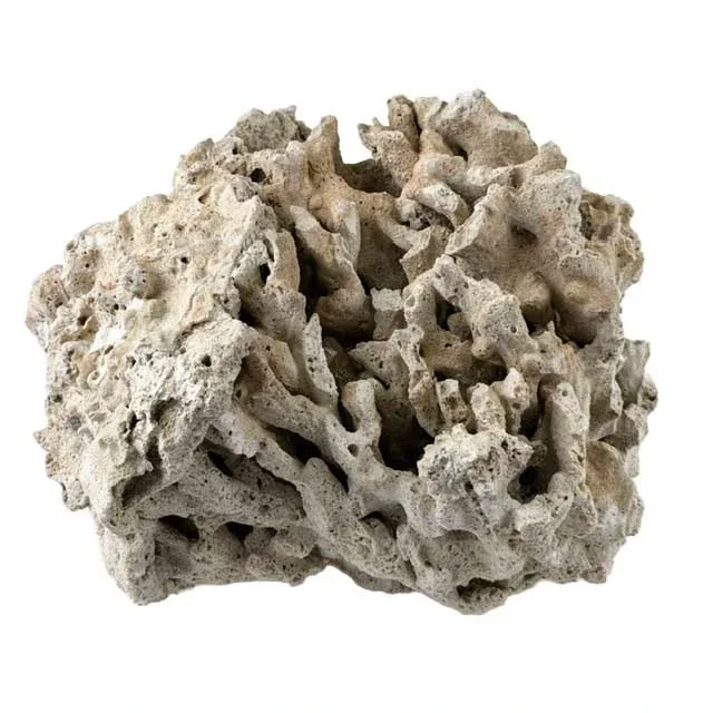 Marco Rock Genuine Fiji Pukani Rock, by the lb.