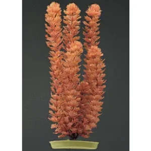 Marina 5" Foxtail PP510 @ Fish Tanks Direct