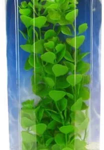 Marina Aquascaper Moneywort Plant