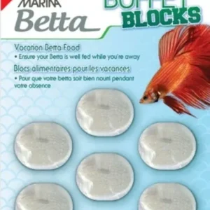 Marina Betta Buffet Blocks 7 Day Vacation Food