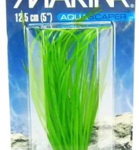 Marina Hairgrass Plant