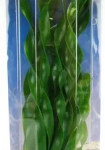 Marina Jungle Val