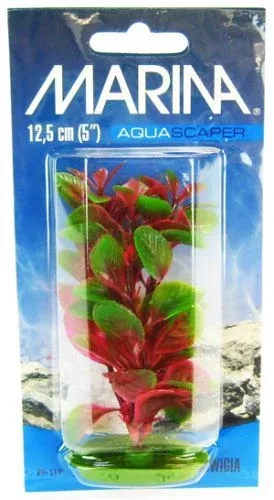 Marina Red Ludwigia Plant