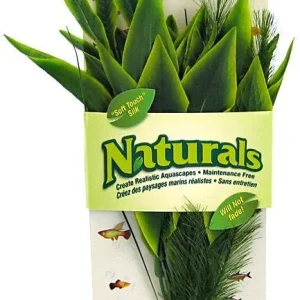 Marina Silk Dracena Aquarium Plant - Green