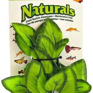 Marina Silk Foreground Aquarium Plant - Green