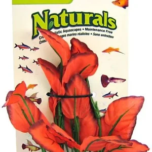 Marina Silk Foreground Aquarium Plant - Red
