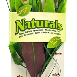 Marina Silk Pickerel Aquarium Plant - Green