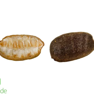 Marka Pod
