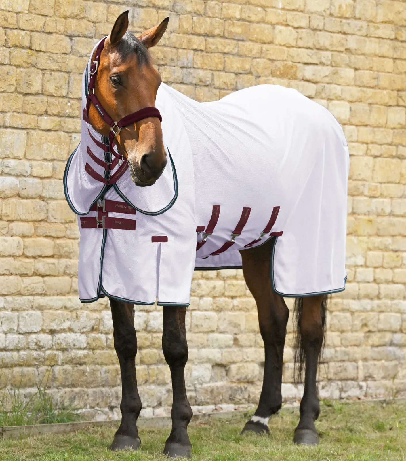 MARKED - Combo Bug Buster Fly Rug with Belly Flap Lavender