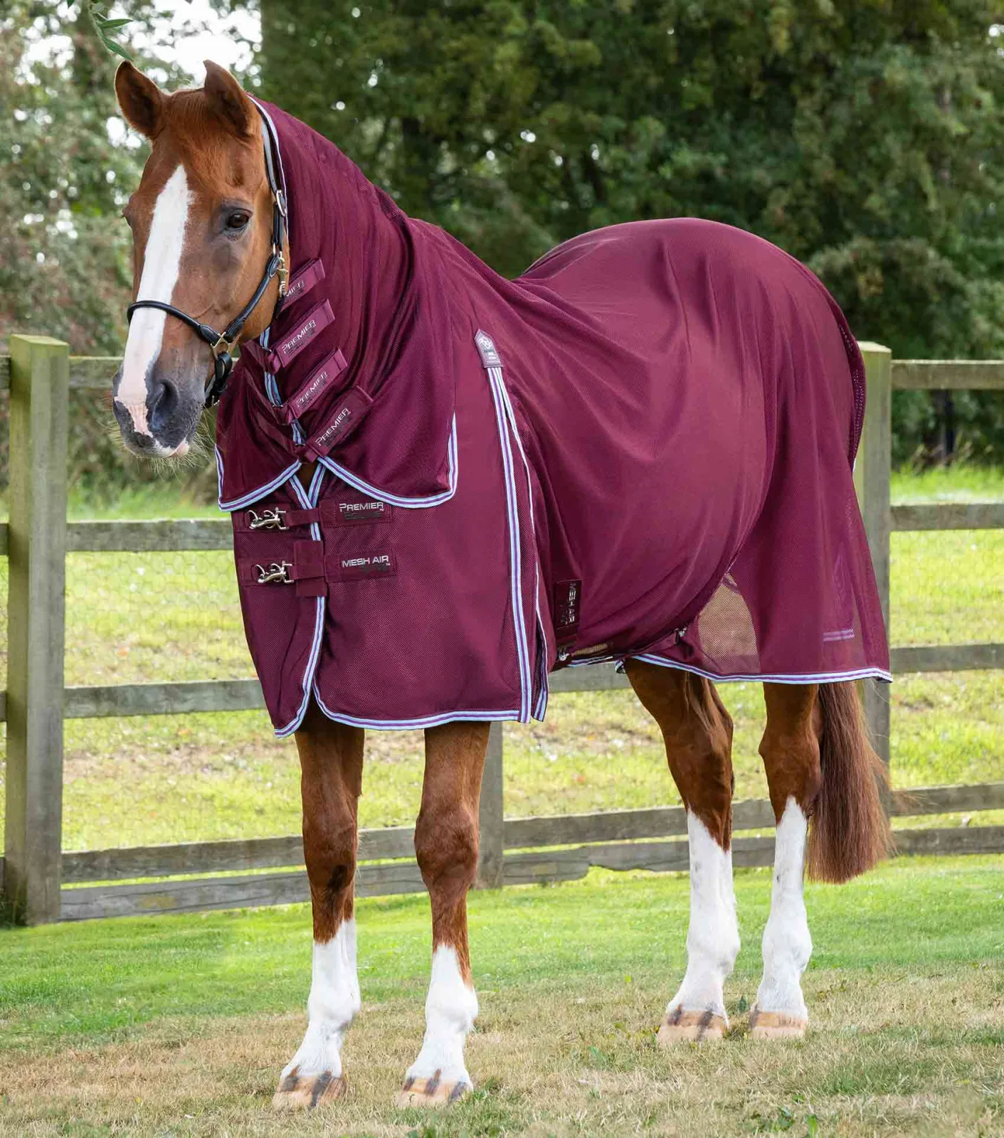 MARKED - Combo Mesh Air Fly Rug with Surcingles Wine