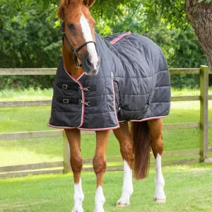 MARKED - END OF LINE - Garissa Stable Rug 100g Black