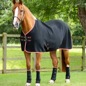 MARKED - PremTex Horse Cooler Rug Black