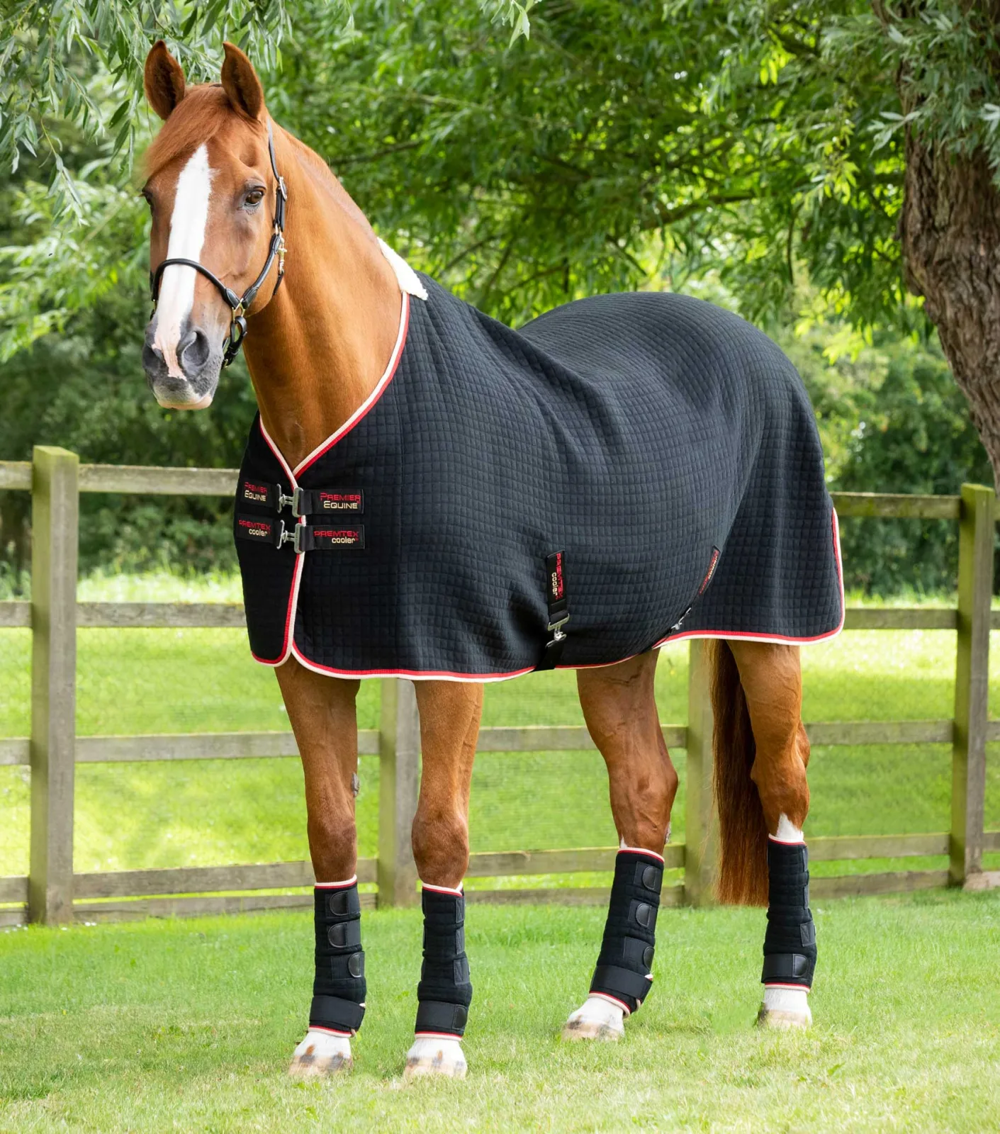 MARKED - PremTex Horse Cooler Rug Black