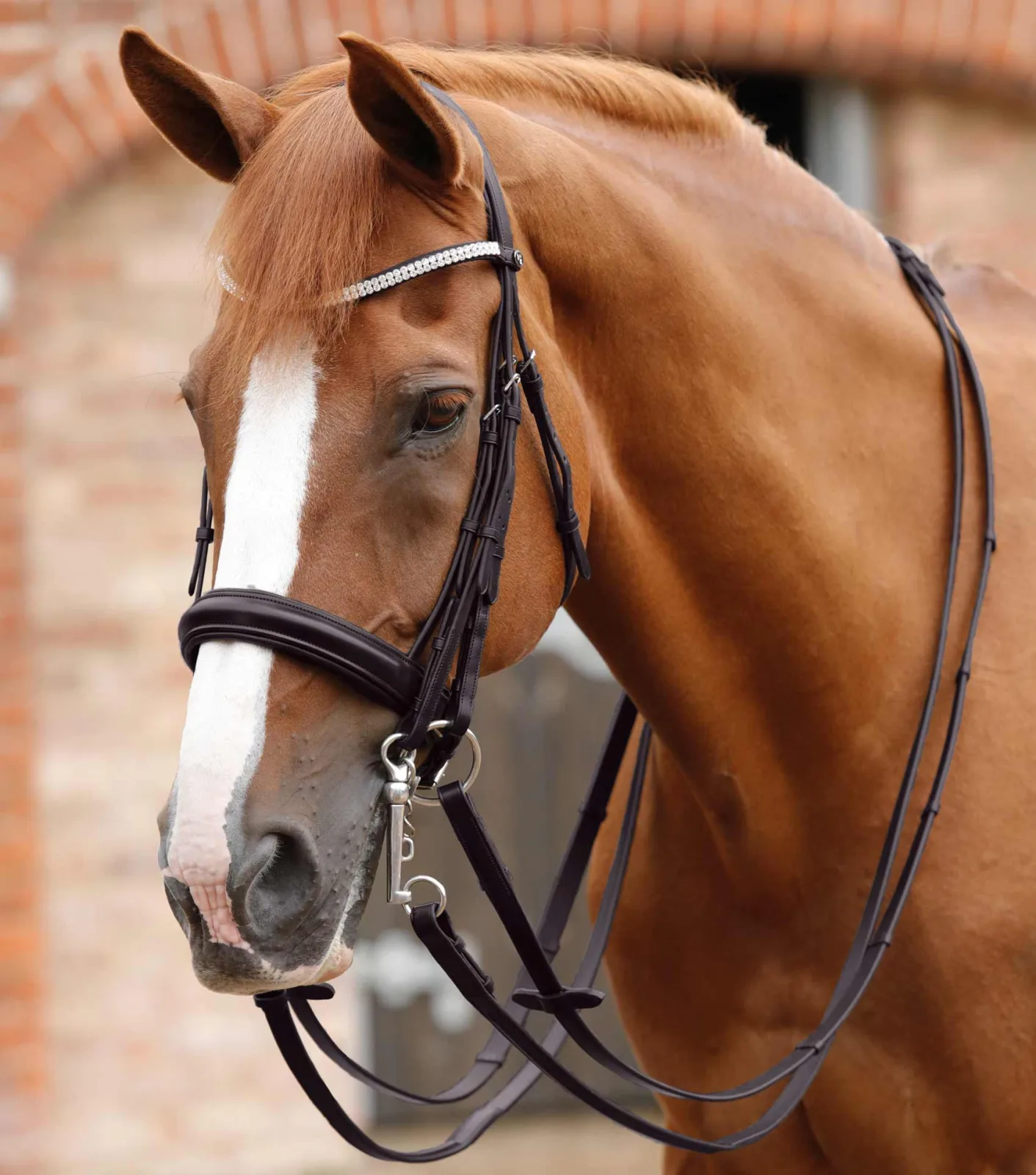 Matteo Leather Grip Reins Brown - Image 2