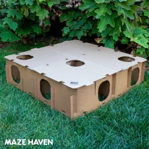 MAZE HAVEN (Original by BinkyBunny)