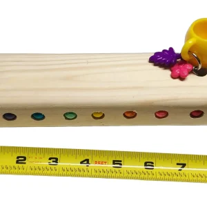 Medium Flat Bird Perch with cup